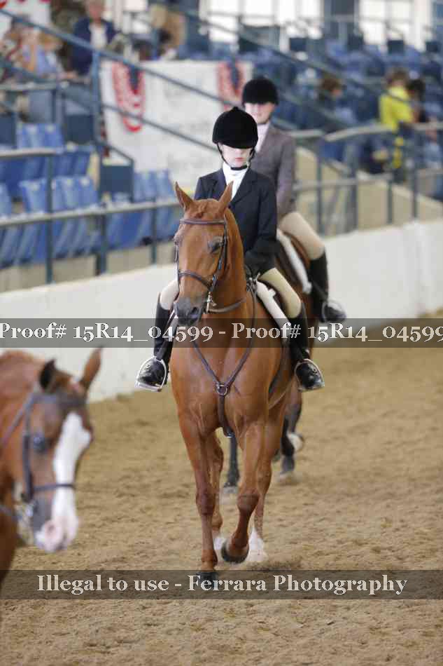Proof 15R14_04599