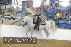15R14_04683 proof