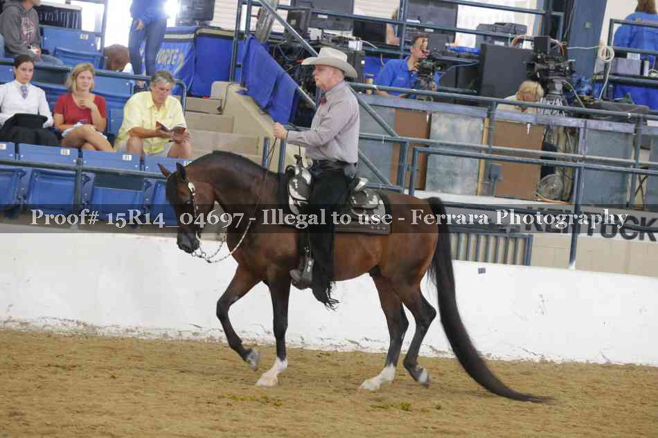 Proof 15R14_04697