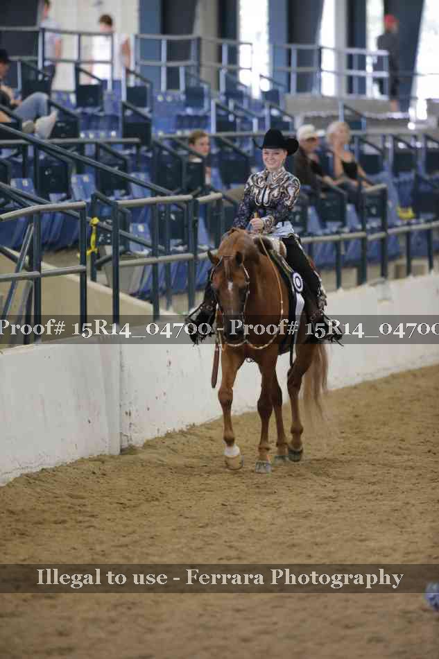 Proof 15R14_04700