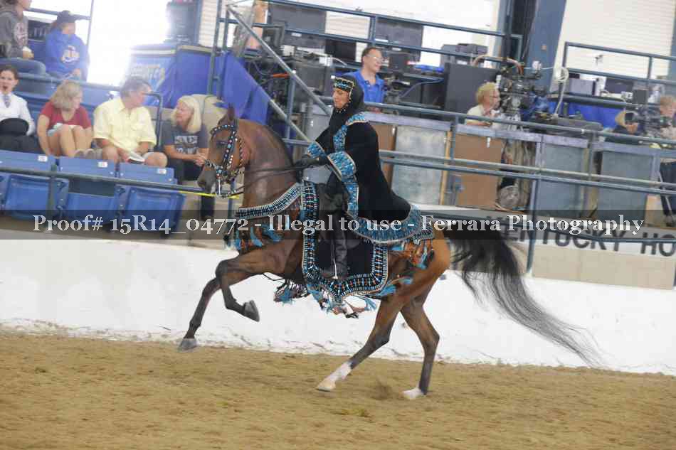 Proof 15R14_04772