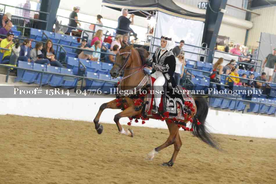Proof 15R14_04776