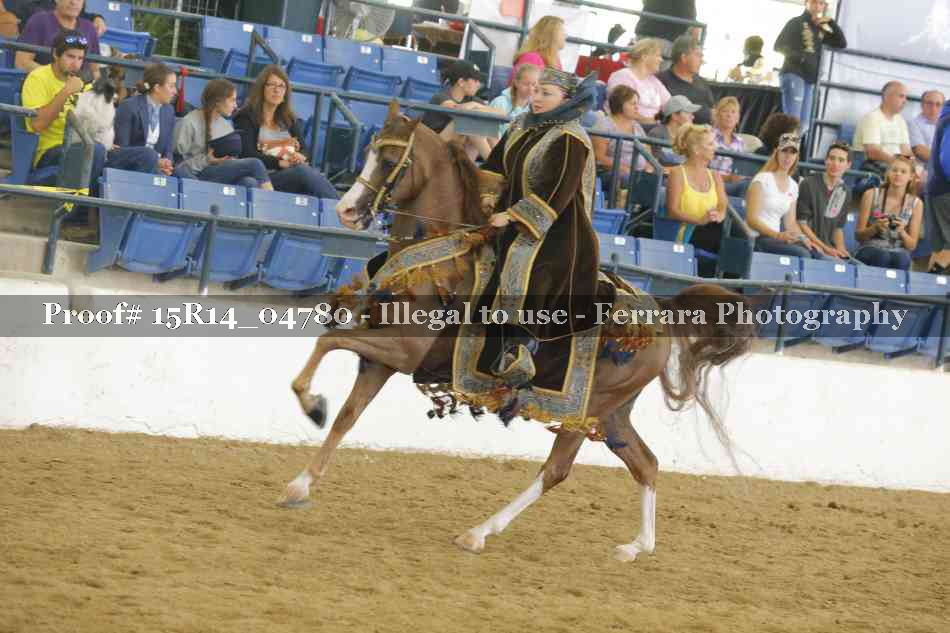 Proof 15R14_04780