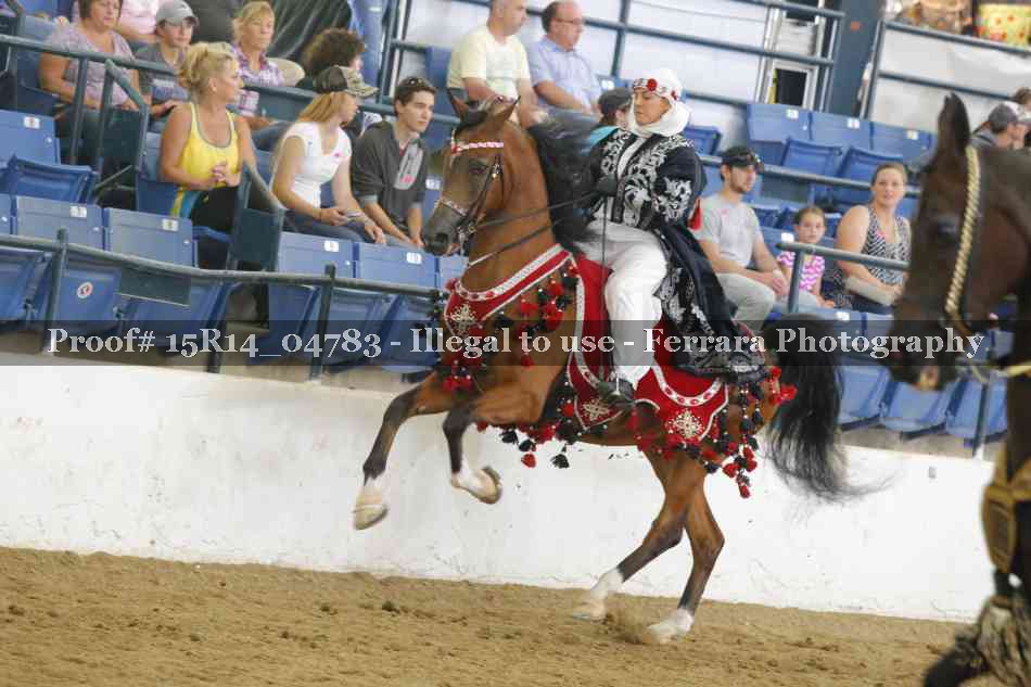 Proof 15R14_04783