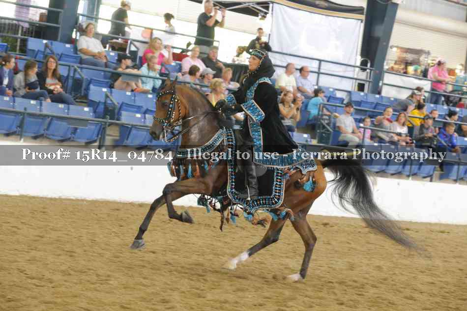 Proof 15R14_04784