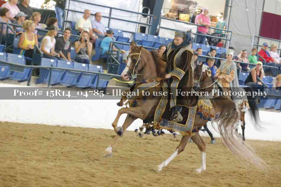 Proof 15R14_04785