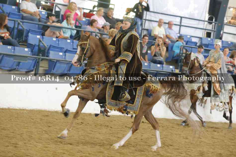 Proof 15R14_04786