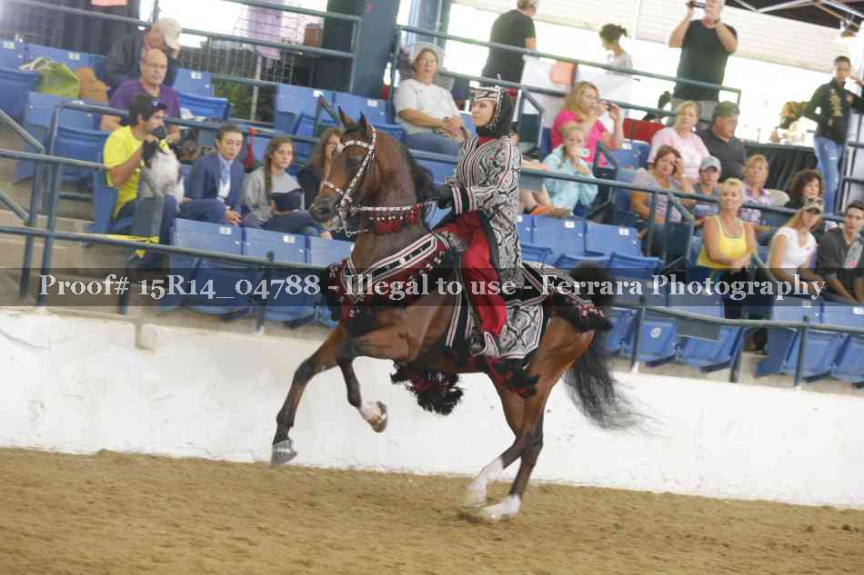 Proof 15R14_04788