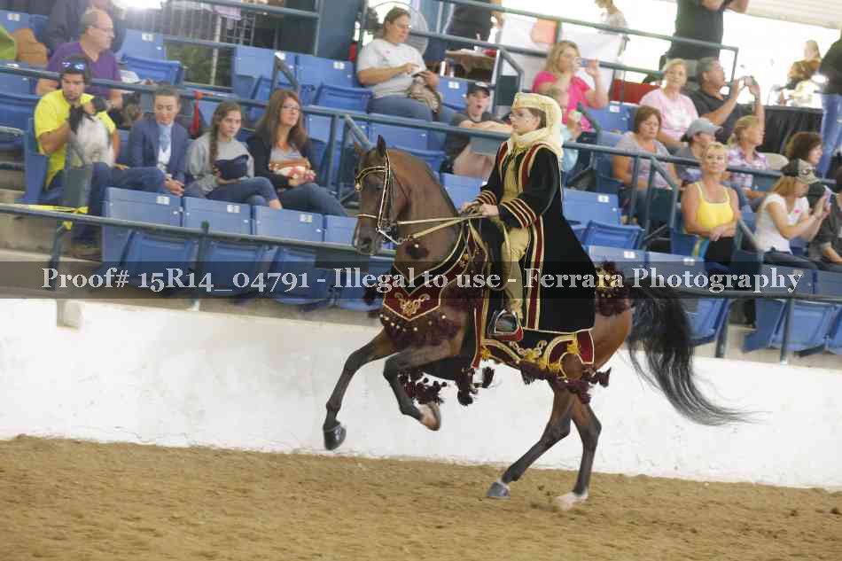 Proof 15R14_04791
