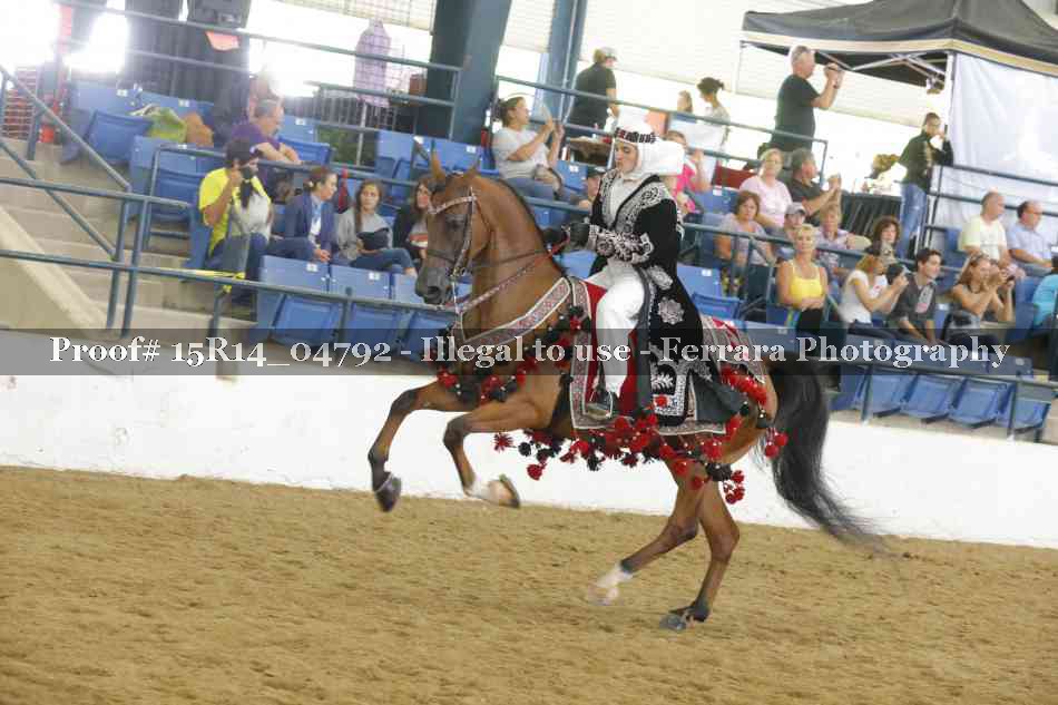 Proof 15R14_04792