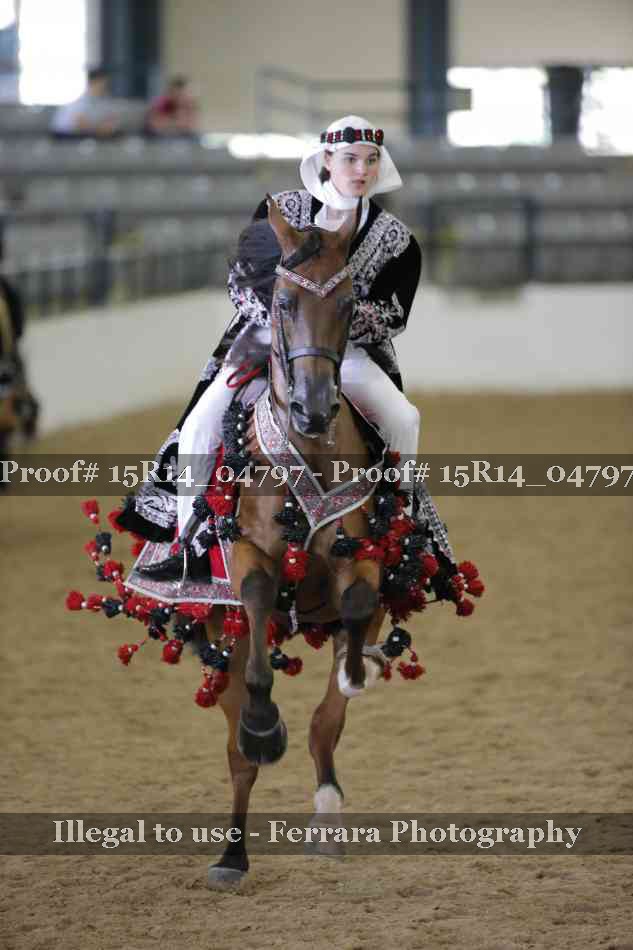 Proof 15R14_04797
