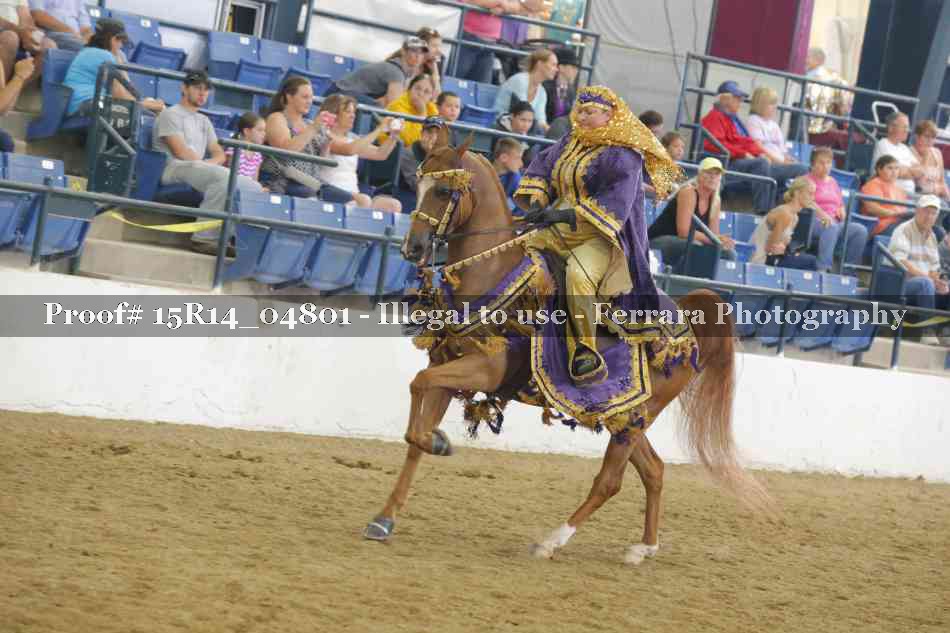 Proof 15R14_04801