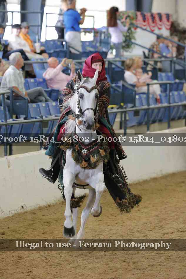 Proof 15R14_04802