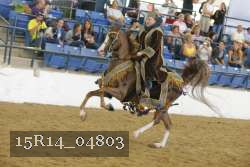 15R14_04803 proof