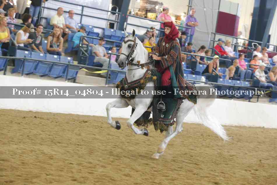 Proof 15R14_04804