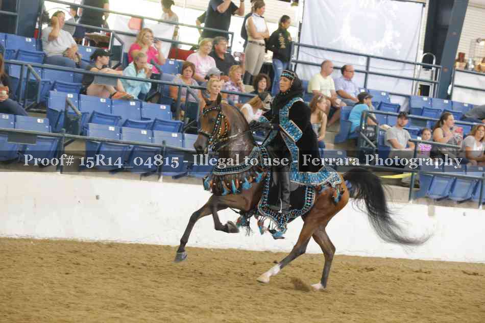 Proof 15R14_04815