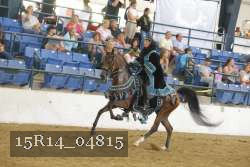 15R14_04815 proof