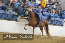 15R14_04864 proof