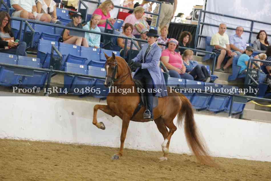 Proof 15R14_04865