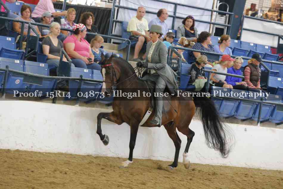 Proof 15R14_04873