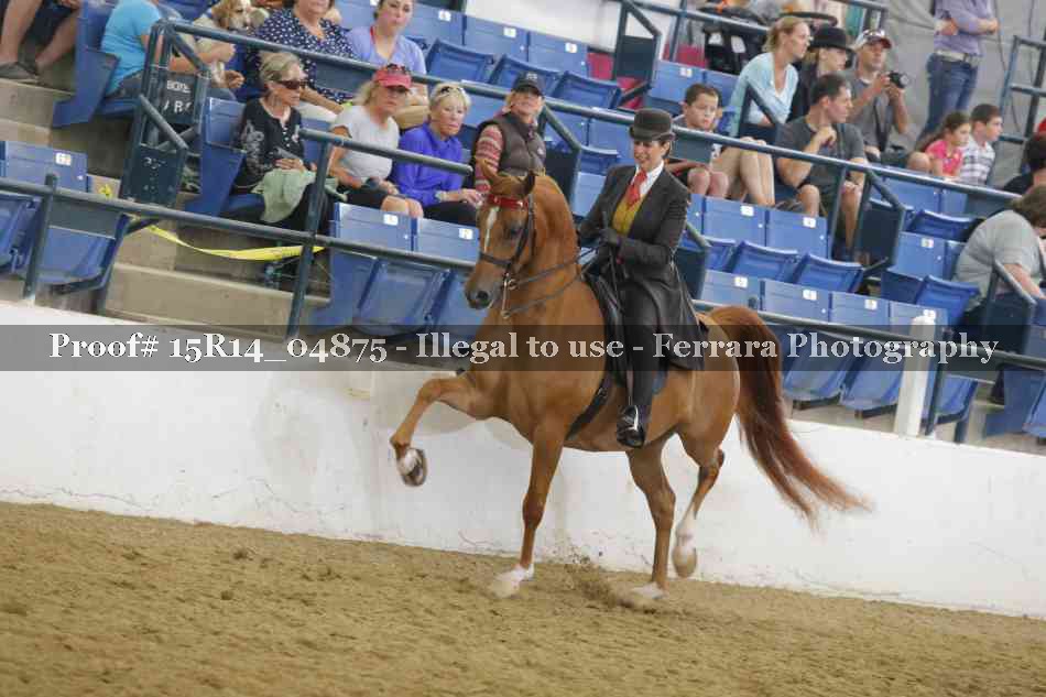 Proof 15R14_04875