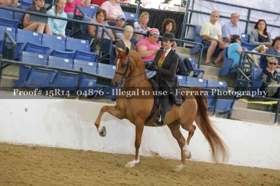 Proof 15R14_04876