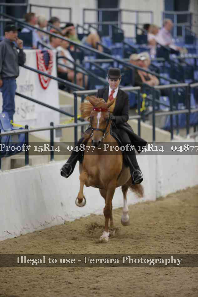 Proof 15R14_04877
