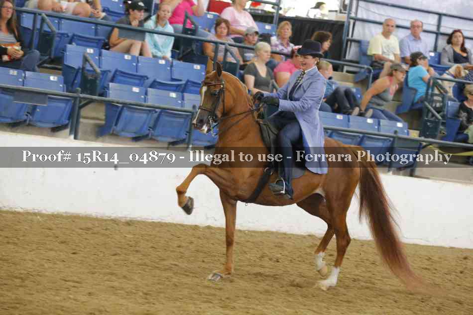 Proof 15R14_04879