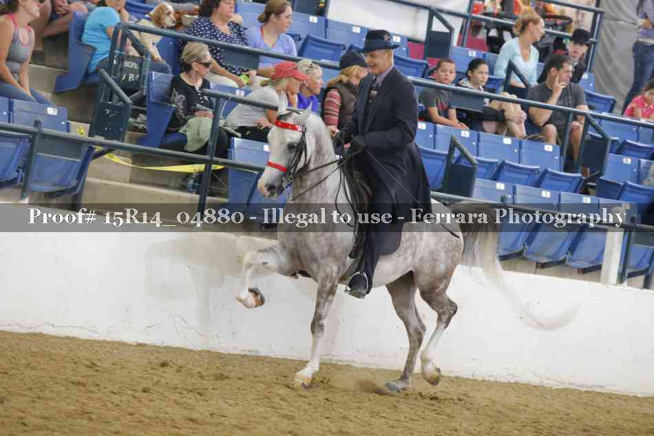 Proof 15R14_04880