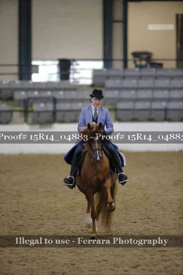 Proof 15R14_04883