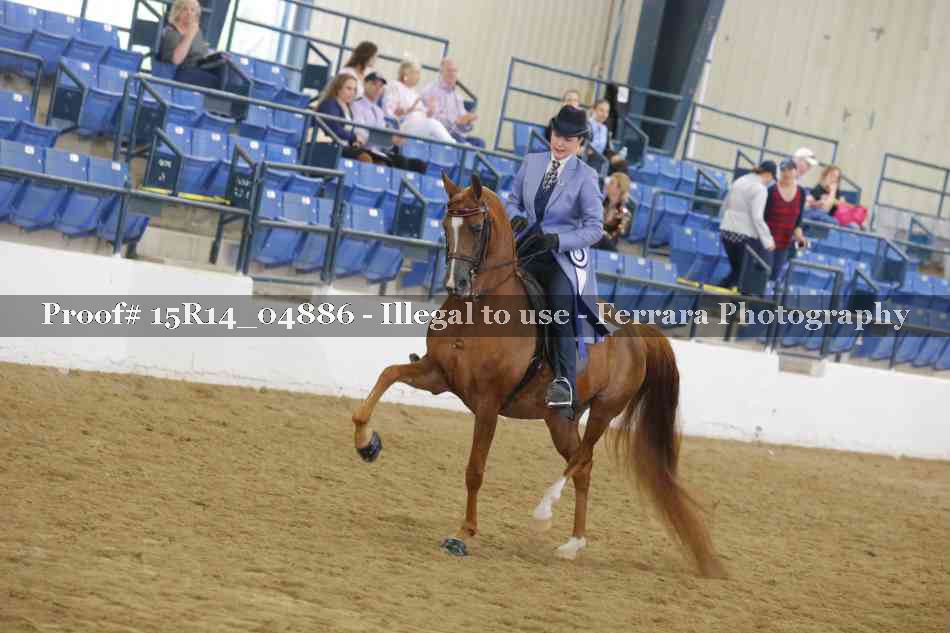 Proof 15R14_04886