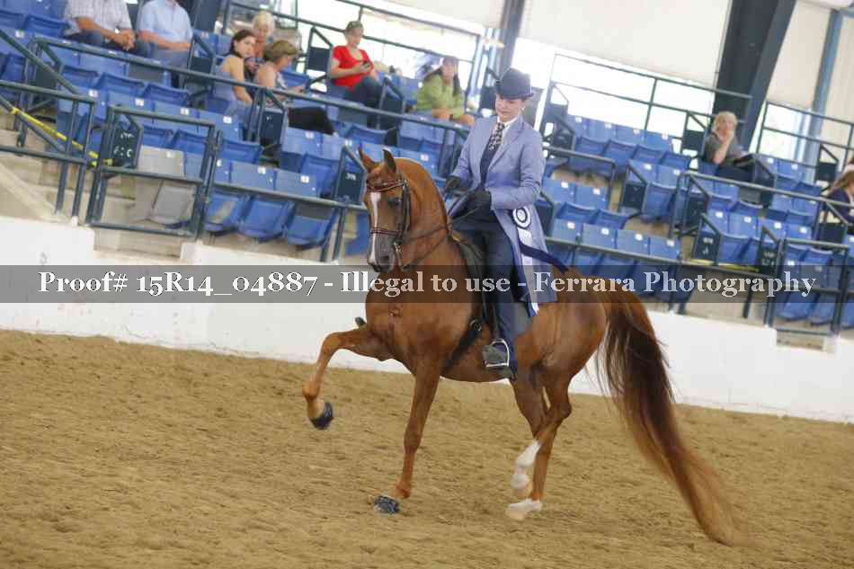 Proof 15R14_04887