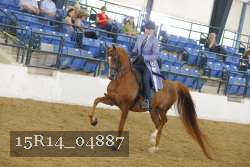 15R14_04887 proof