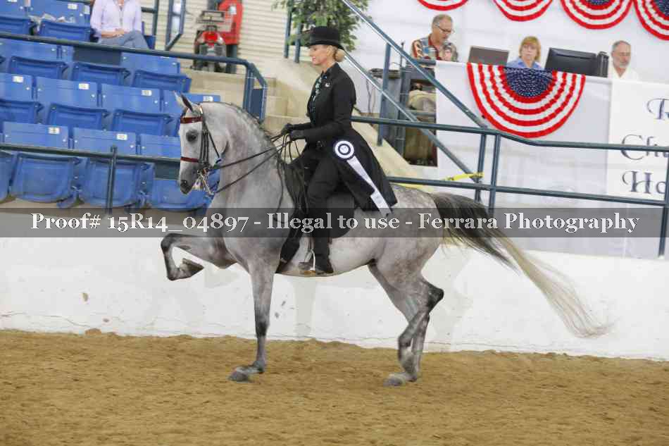 Proof 15R14_04897