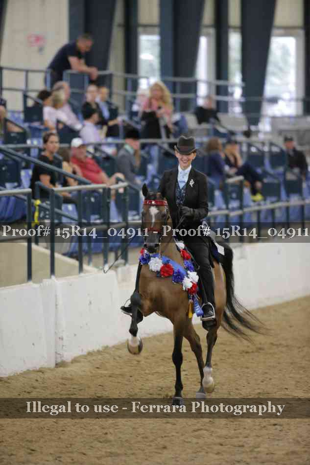 Proof 15R14_04911