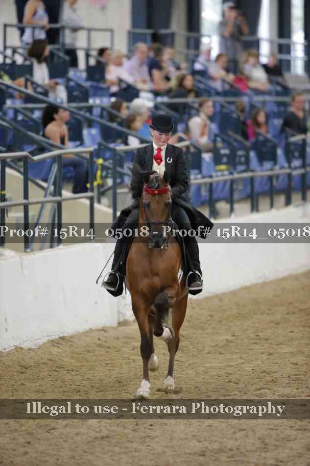 Proof 15R14_05018