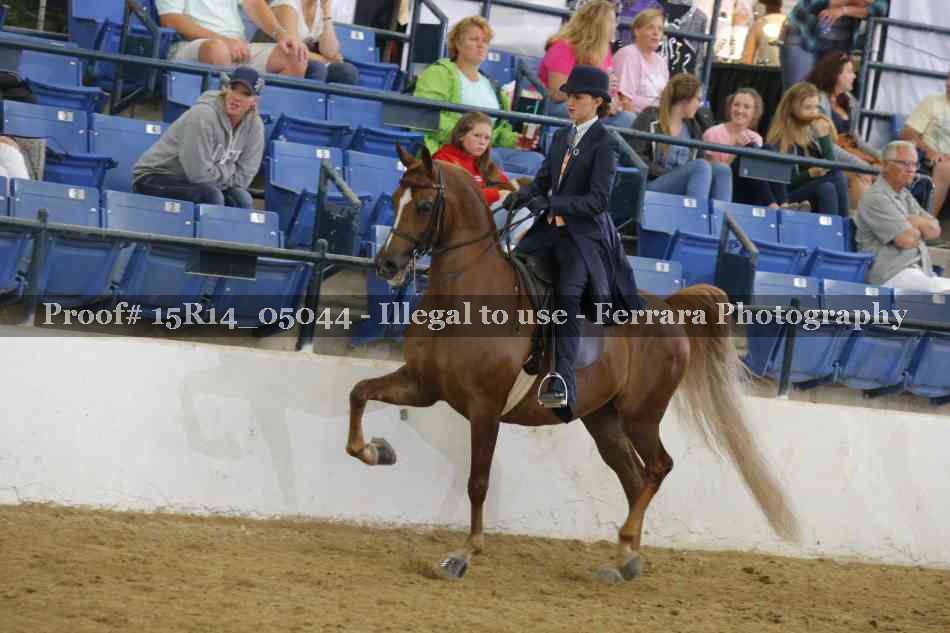 Proof 15R14_05044