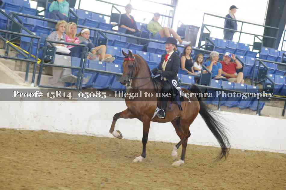 Proof 15R14_05085