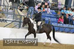 15R14_05201 proof