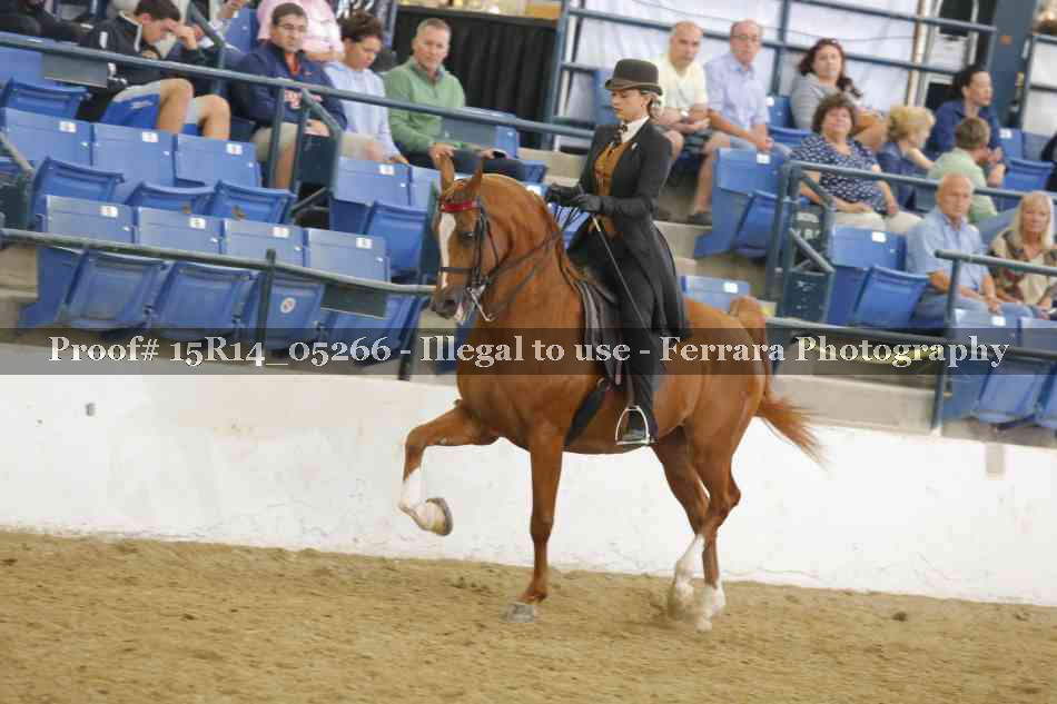 Proof 15R14_05266