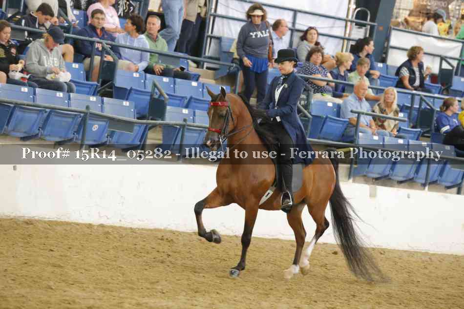 Proof 15R14_05282