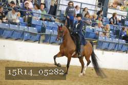 15R14_05282 proof