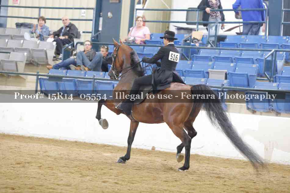 Proof 15R14_05554