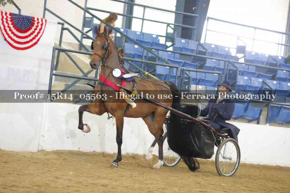 Proof 15R14_05563