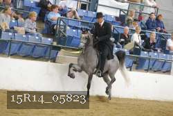 15R14_05823 proof