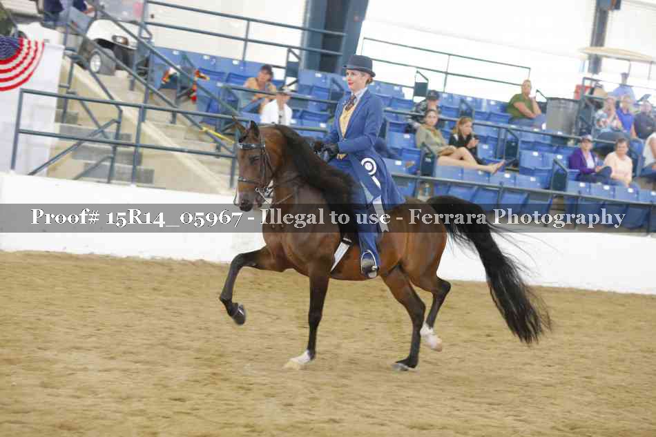 Proof 15R14_05967