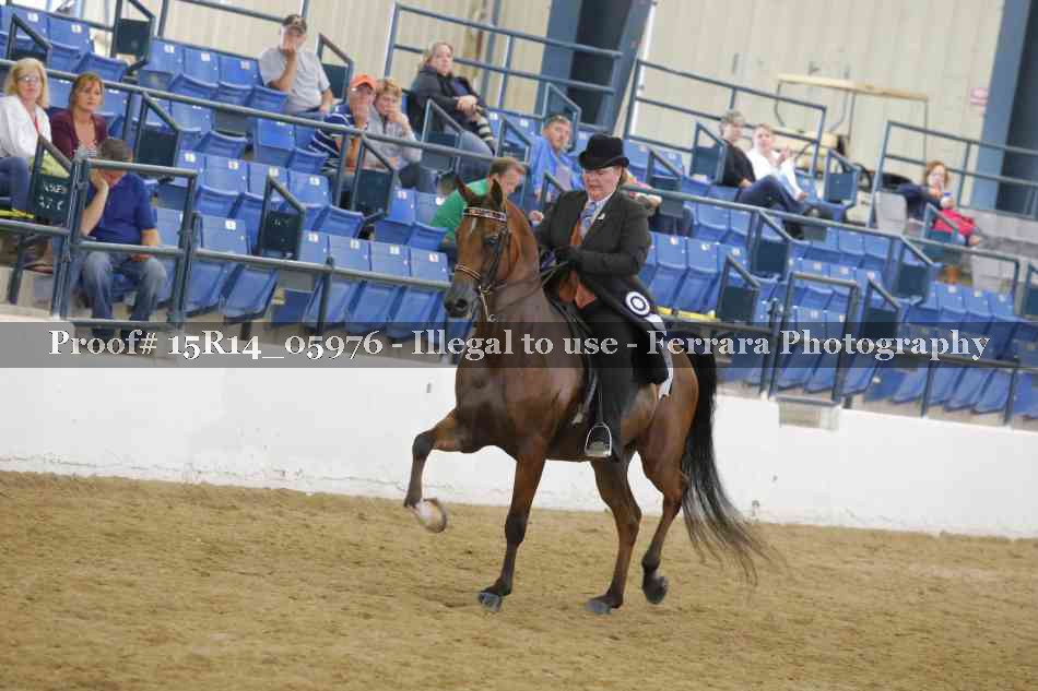 Proof 15R14_05976
