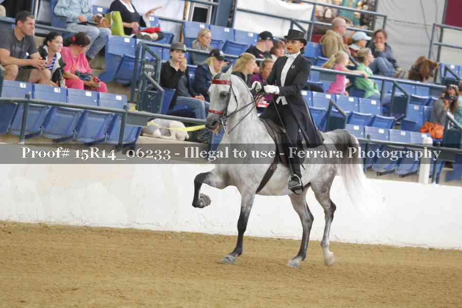 Proof 15R14_06233