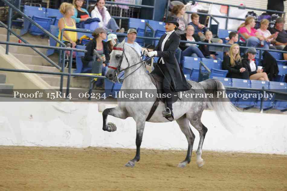 Proof 15R14_06234