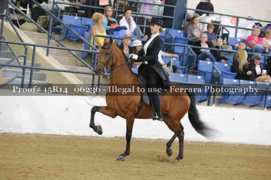 Proof 15R14_06236